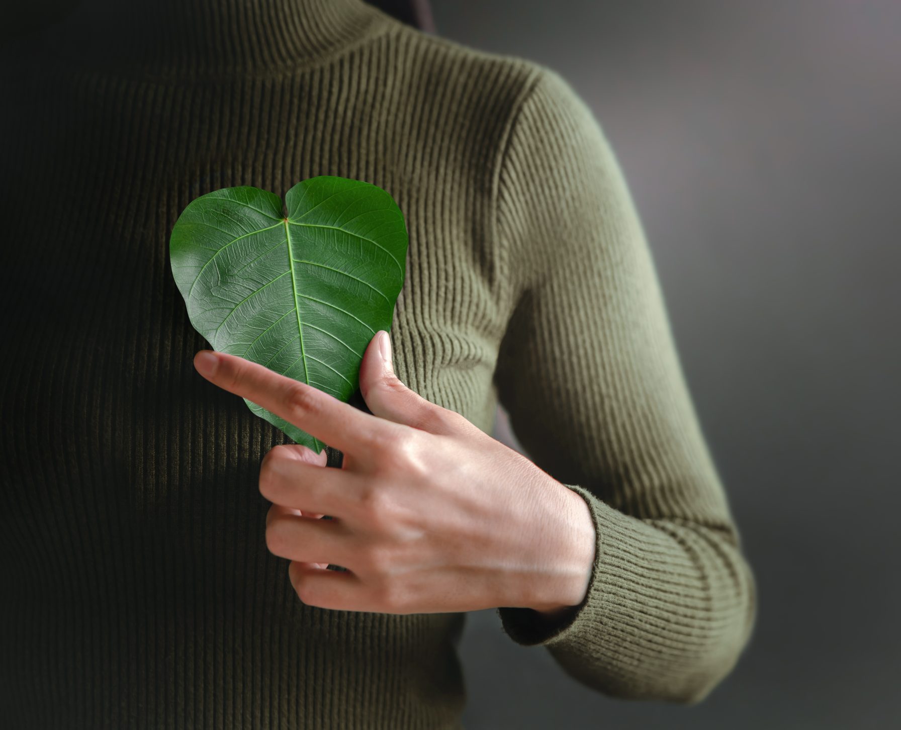Green Energy, Renewable and Sustainable Resources. Environmental and Ecology Care Concept.